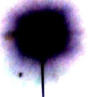 /album/galleria-foto-sfera-in-movimento/a1362760434052bhzz-sa-riga-sfera256tr772q7-90-jpg1/